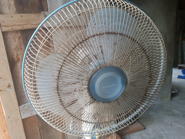 1000004042.jpg