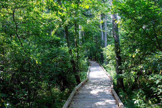 Boardwalk_2.jpg