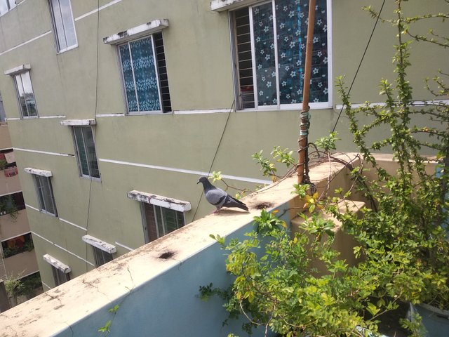 IMG_20250718_141932.jpg