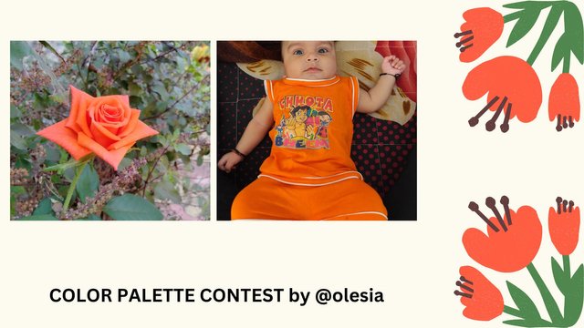 COLOR PALETTE CONTEST by @olesia.jpg