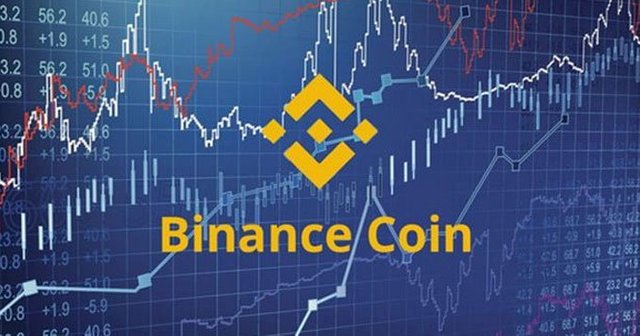 www.criptomonedaseico.com-binance-coin.jpg