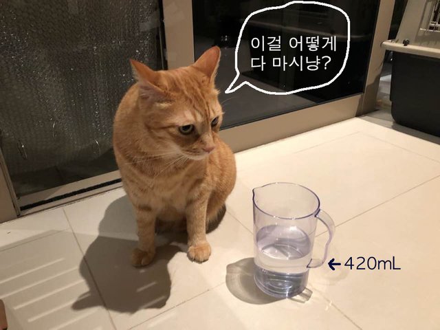 KakaoTalk_Photo_2018-08-12-20-55-10.jpg