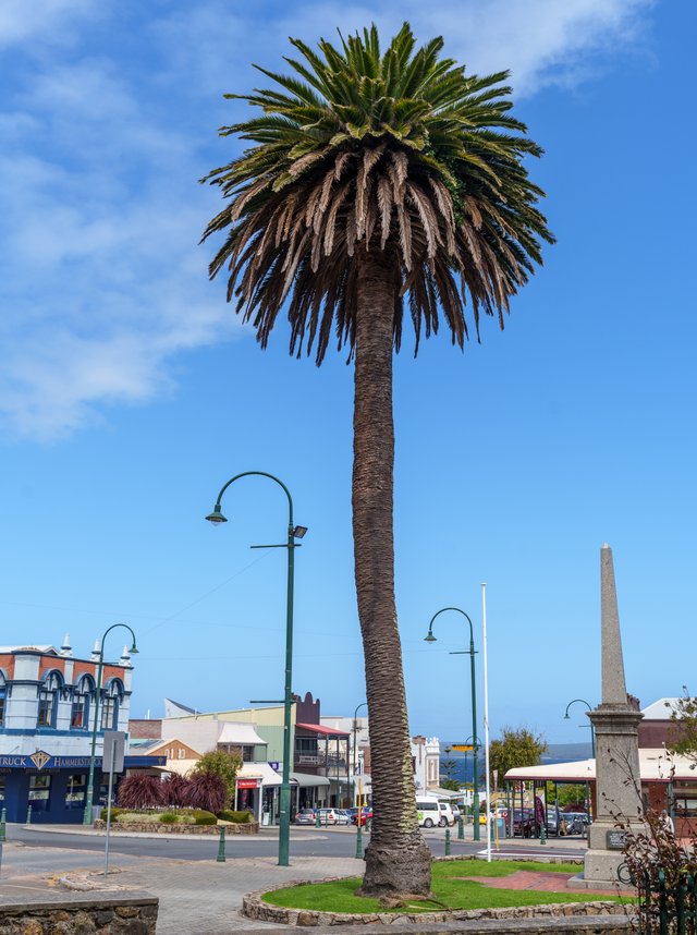 A1V05230.jpg