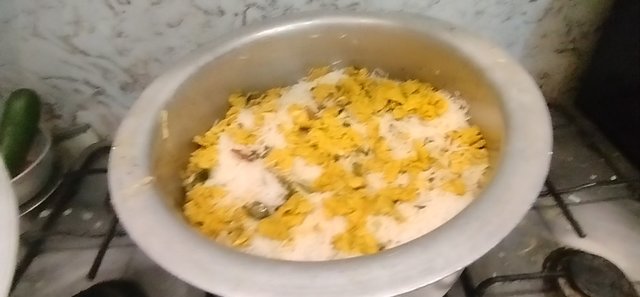 IMG_20251016_104728.jpg