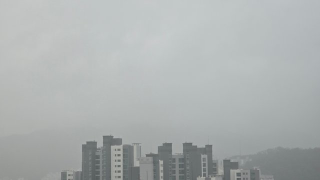 1000137307.jpg