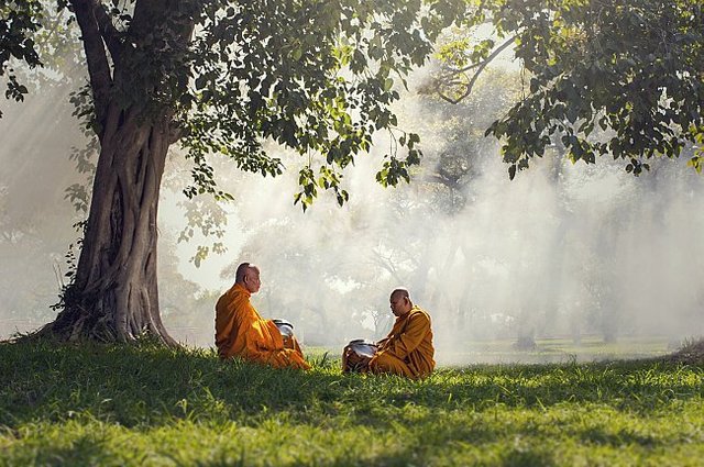 two-monks-meditation-trees-with-sun-ray-buddha-religion-concept-(1)-large (2).jpg