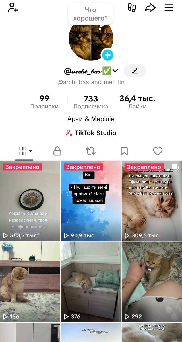 1000000512.jpg