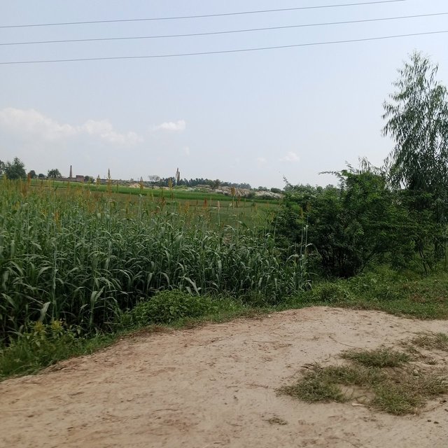 IMG_0918.jpeg