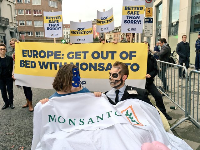 Monsanto protest.jpg