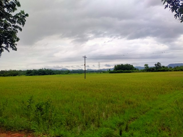 IMG20250617104600.jpg