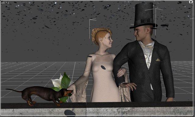 Special Day - Petface Wedding Render - 2.JPG