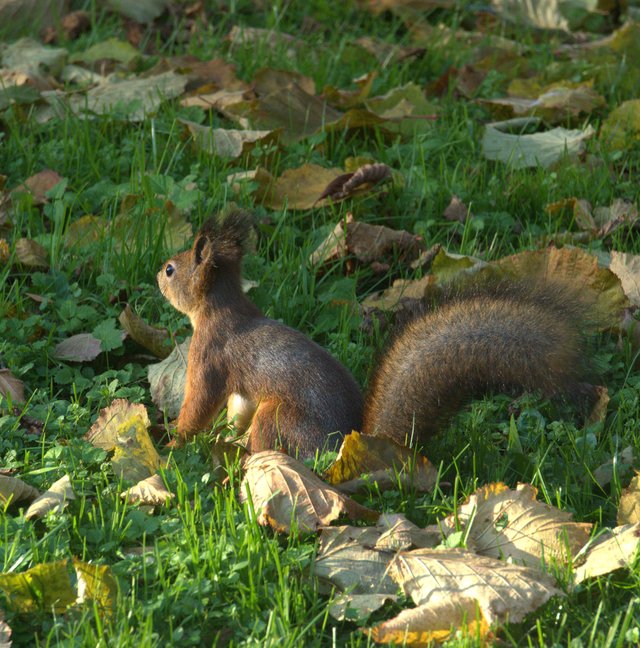 dsc01433.jpg