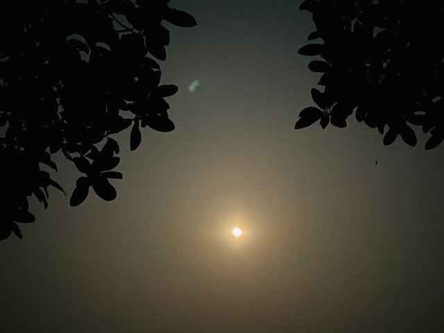 IMG_3173.jpeg