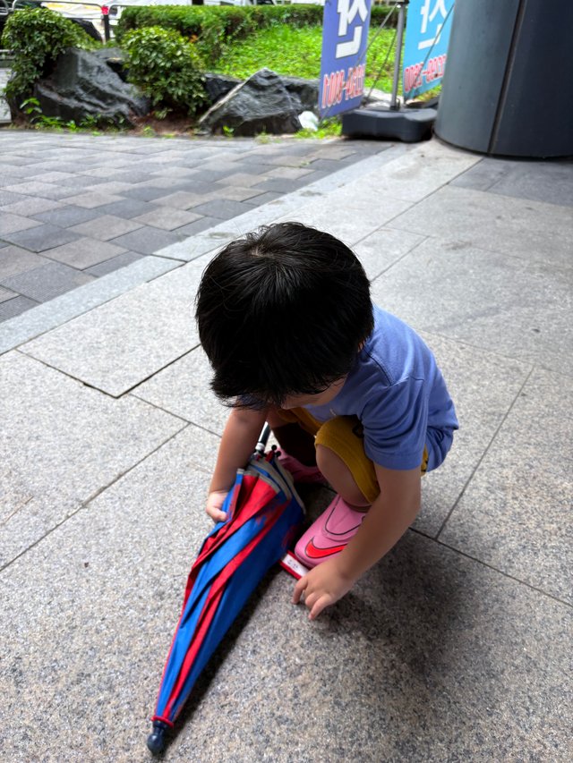 IMG_6339.jpeg