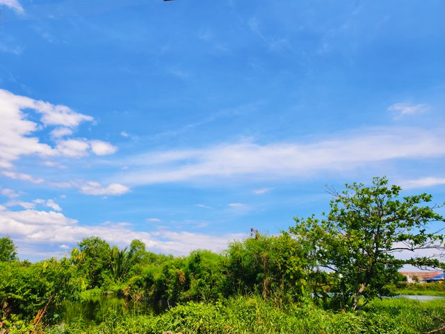 IMG_20250407_144415.jpg