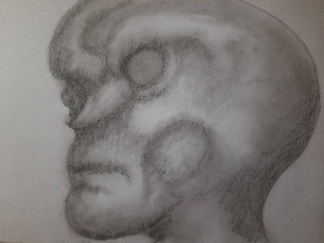 20250421_110028.jpg