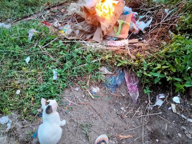 IMG20250828184056.jpg
