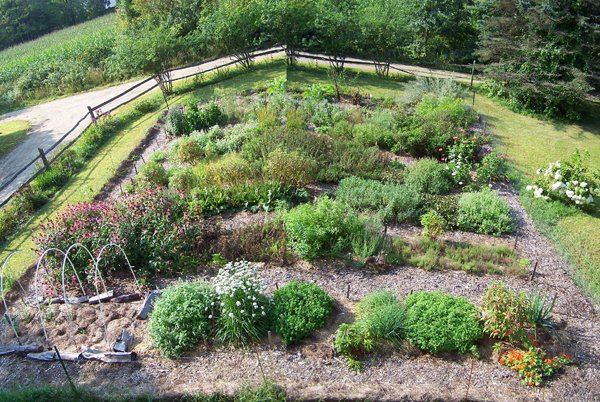 New Herb garden crop Aug.jpg