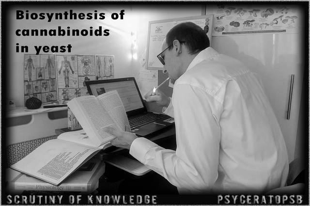 scrutiny of knowledge photoshop file.png