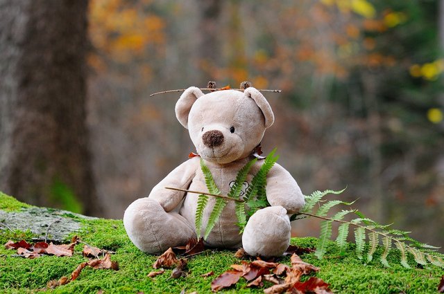 teddy-bear-524251_1280.jpg