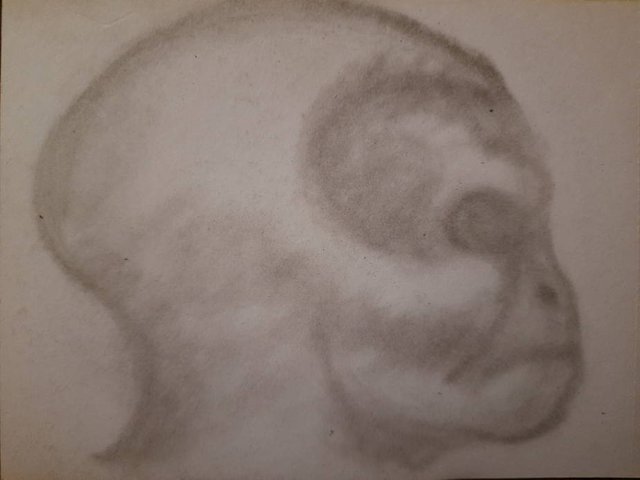 20250610_110136.jpg