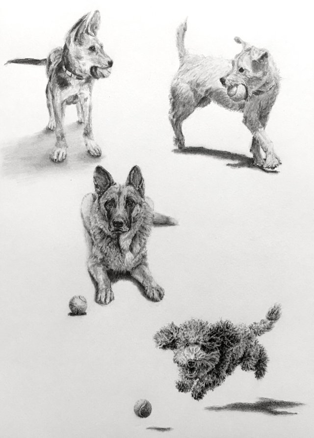 Realistic Pencil Drawing Gallery & Tutorials - Ran Art Blog