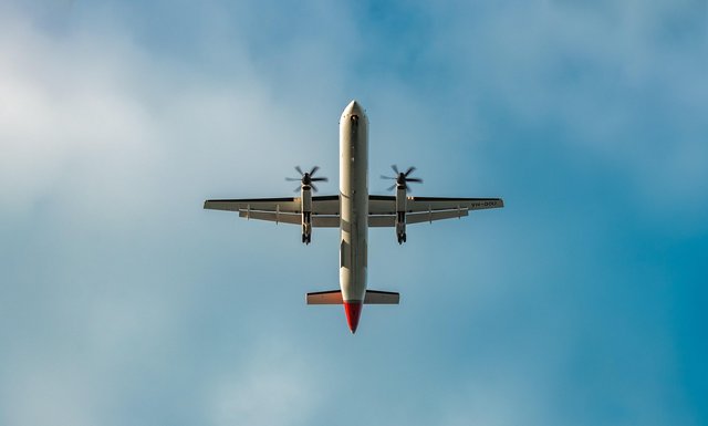 1000359584.jpg