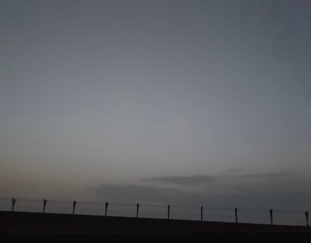 IMG_5198.jpeg