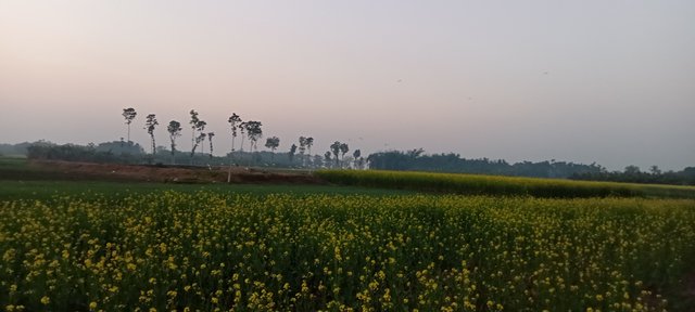 IMG20241219170000.jpg