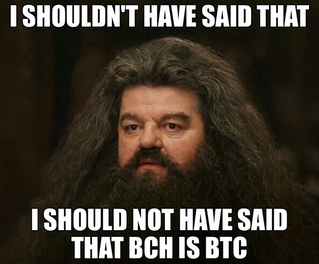 BCH is BTC.JPG