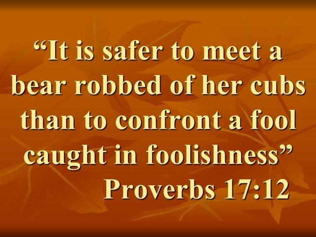 Wise proverb. It is safer to meet a bear robbed of her cubs than to confront a fool caught in foolishness. Proverbs 17,12.jpg