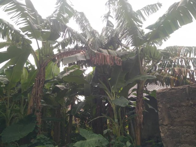 IMG-20250701-WA0000.jpg