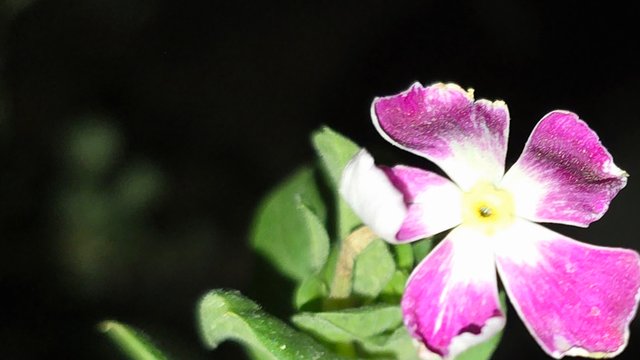 20250706_021753.jpg