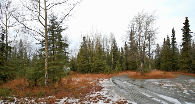 pano101 cropped drive way 2 resized.jpg