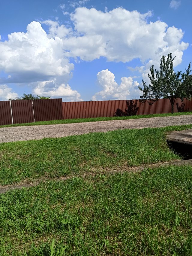 IMG_20250803_154549.jpg