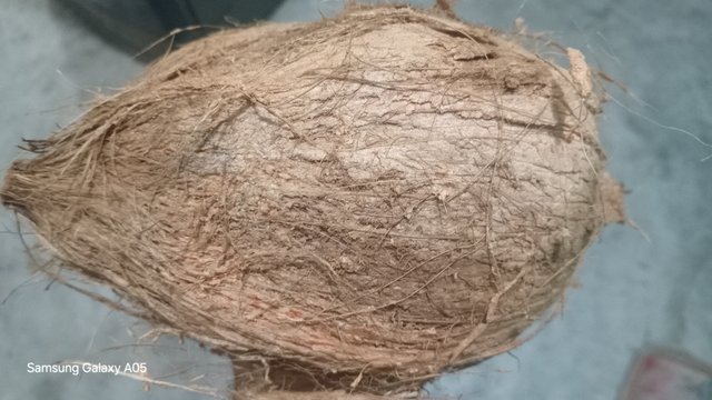 20250316_193359.jpg