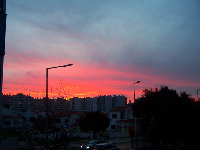 0 100_2378 steemit.JPG