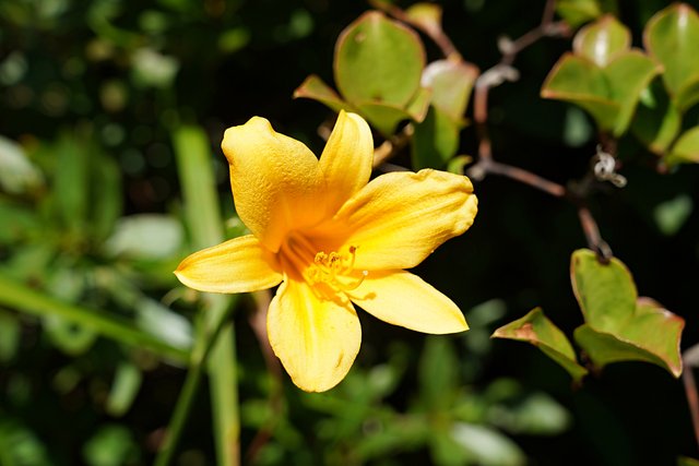b-DSC08127.JPG