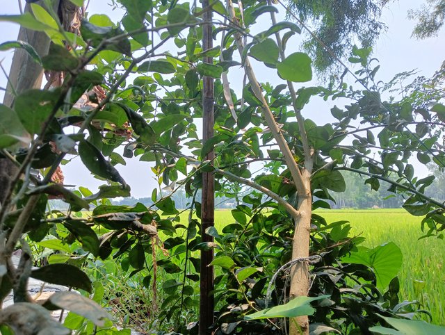 IMG20250508132828.jpg