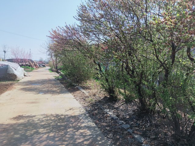 IMG20250501084947.jpg