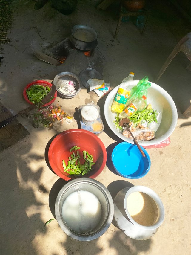 IMG20240310111356.jpg