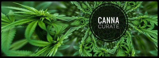 canna curate banner.jpg