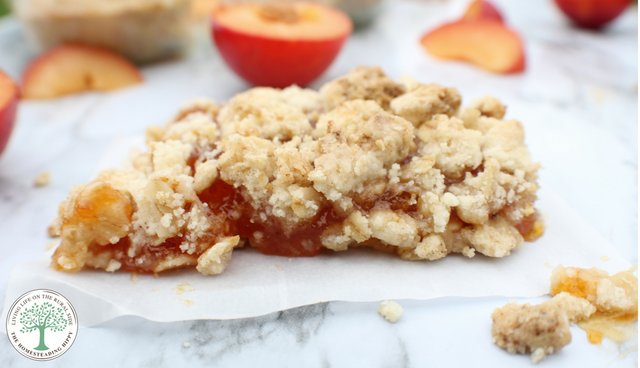 apricot oat bars horizontal.png