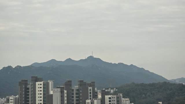 1000132460.jpg