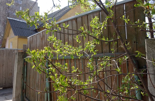 s250420-102.JPG