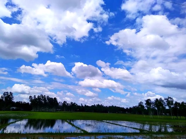IMG_20221019_105507.jpg