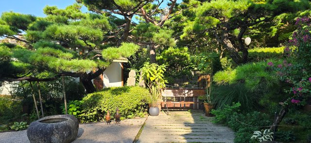 KakaoTalk_20240816_231347026_13.jpg