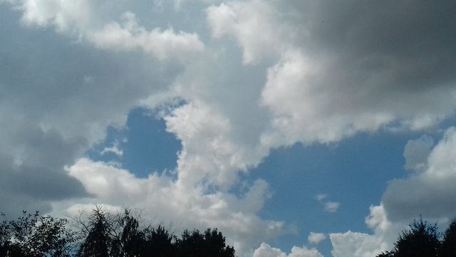 20180726_111142.jpg