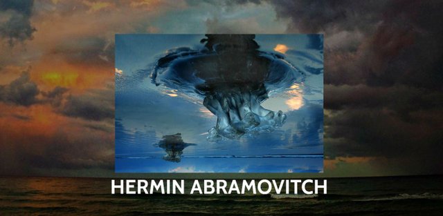 0 HERMIN ABRAMOVITCH.JPG