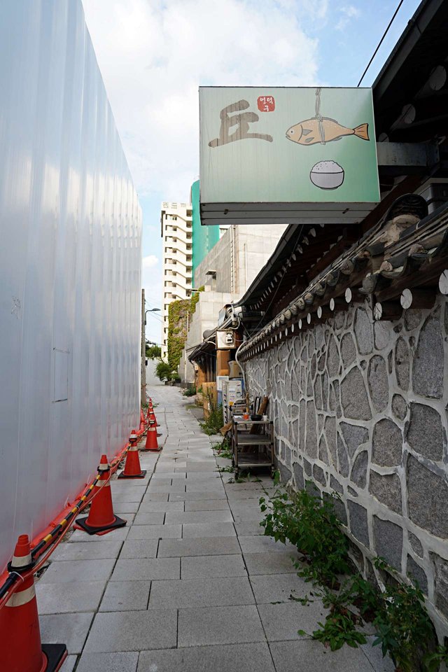 b-DSC00902.JPG